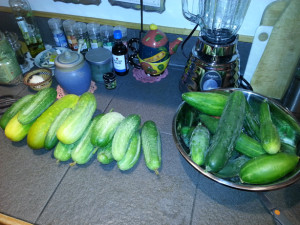 Cucumbers1