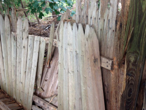 fence