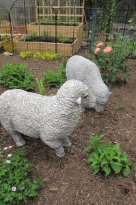 GardenSheep